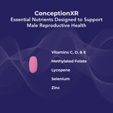 essential nutrients to support male reproductive health