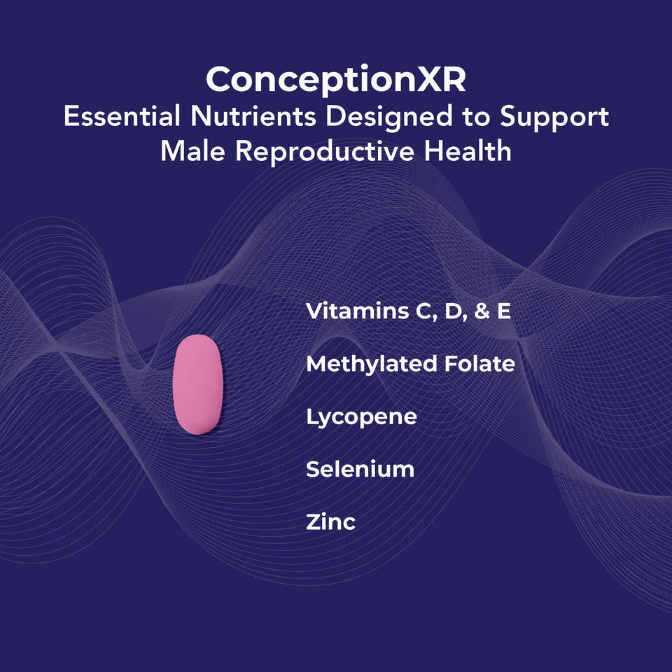 essential nutrients to support male reproductive health